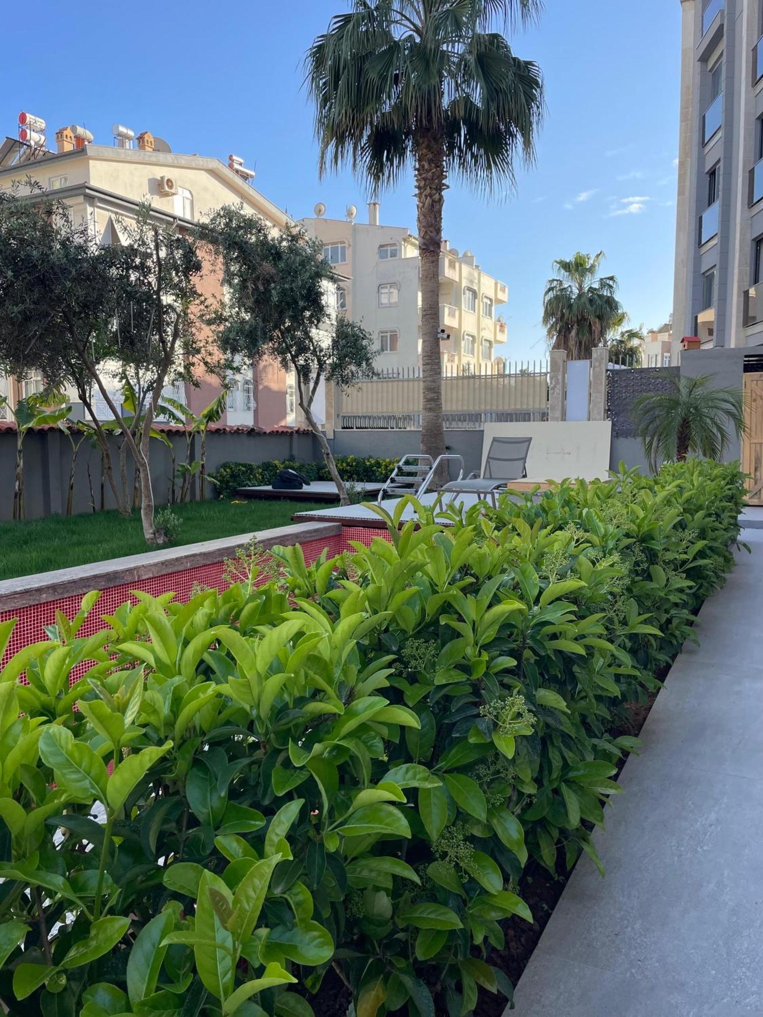 Wolf Appartement Antalya